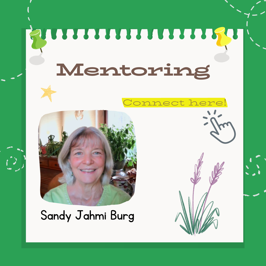 Certification Mentoring Sessions