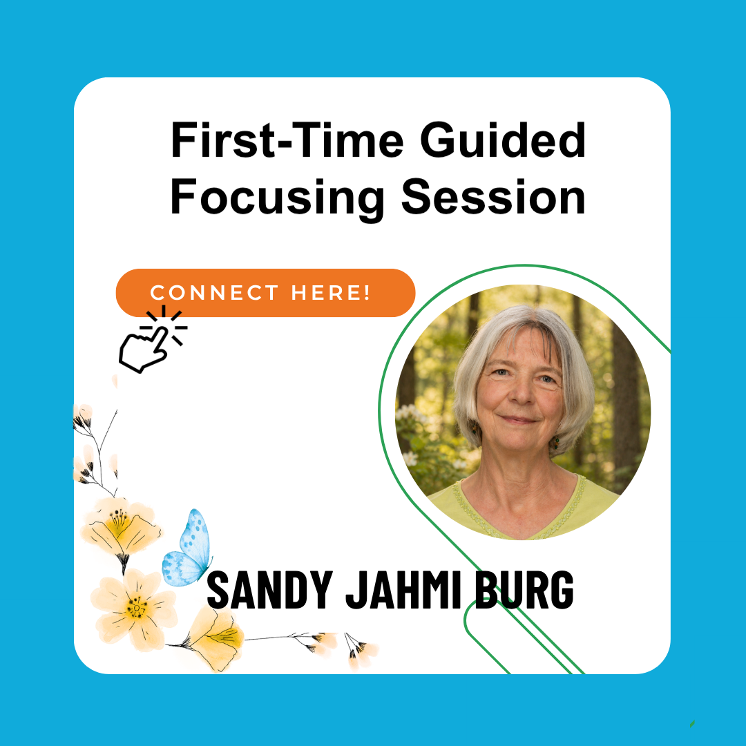 First-Time Guided Focusing Session