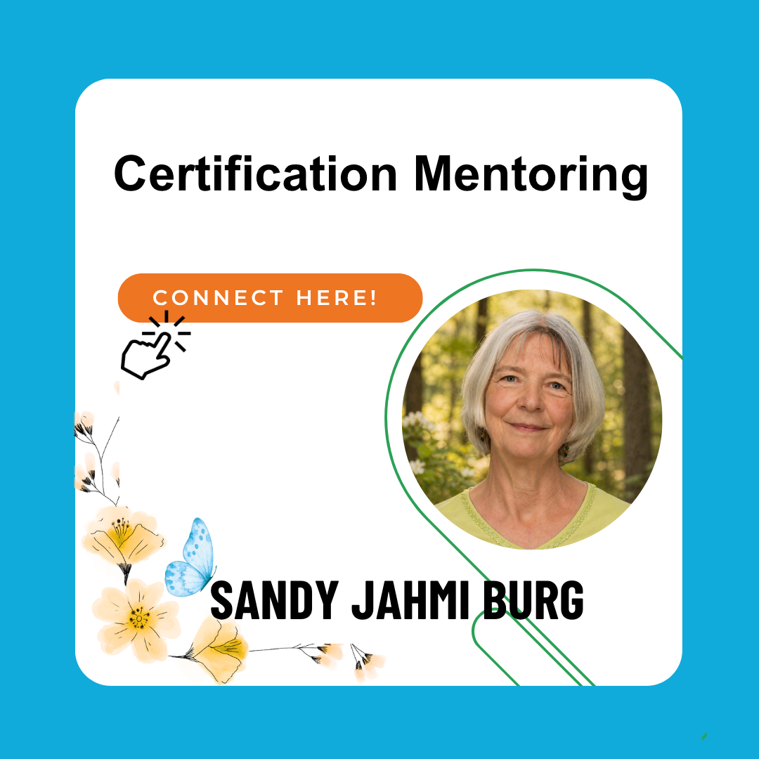 Certification Mentoring Sessions